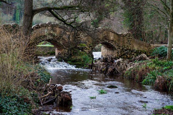 Bridge of Dreams in Dunster Castle gardens, taken to reflect a romantic feel of the scene